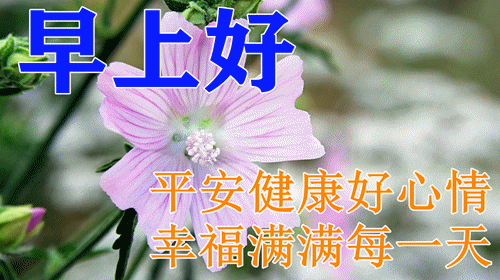 周末吉祥今日最新版早安问候大全，平安，健康，吉祥，幸福，安康(2020周末早安温馨问候短信)