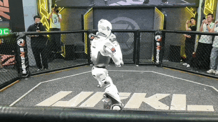 3.gif