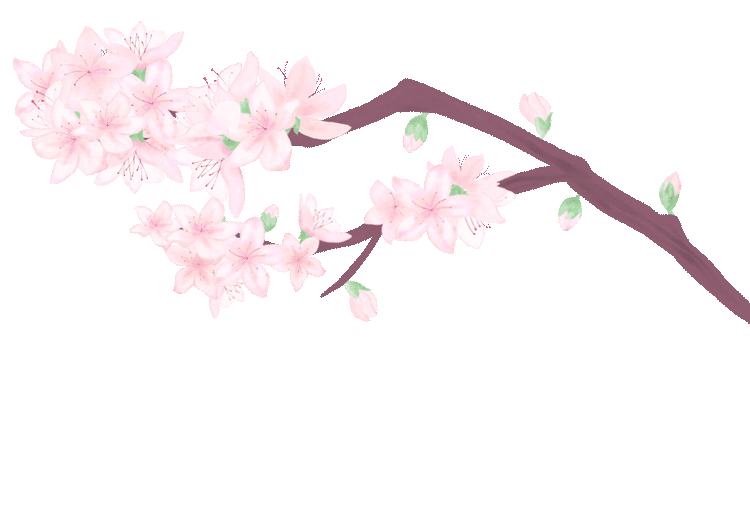 吉林一中 张可佳_吉林一中附近出租房源_吉林第一中学