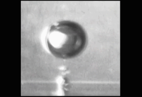 0 (2).gif