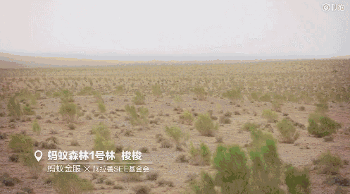 蚂蚁森林能量产生规则_蚂蚁森林地铁出行能量_蚂蚁森林能量产生规则