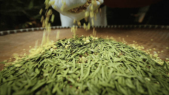 10月20日(1).gif