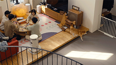 ��3Сʱ����500�����������Ѿ���ȥ¥�¿����ˡ�