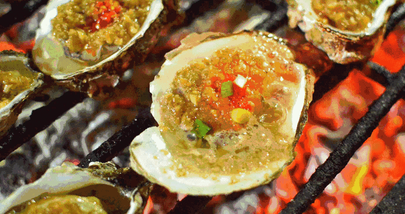 你们爱吃的生蚝原来是这样子的这几种生蚝你听说过吗