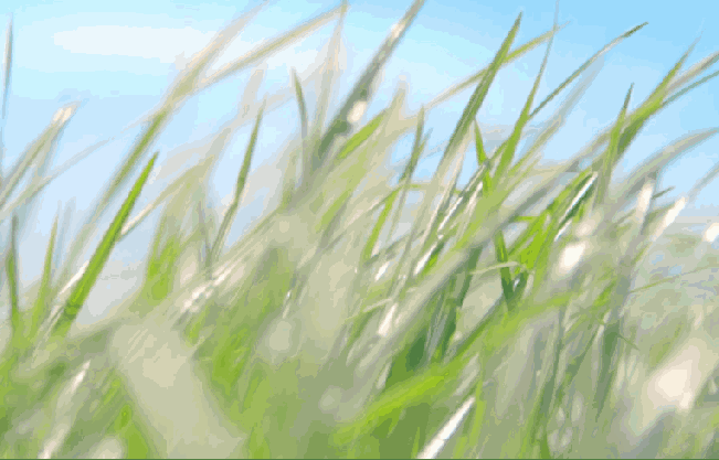 温少波鄂尔多斯的风Ⅰ