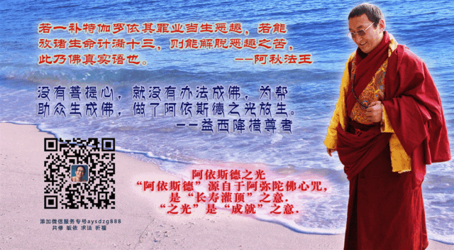 阿依斯德之光 自由微信 Freewechat