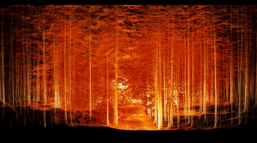 图片[7]-如何用遥感AI，计量「森林碳汇」？-元地理信息科学