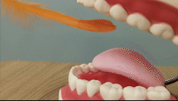 如何在接吻的时候互相检查牙齿？