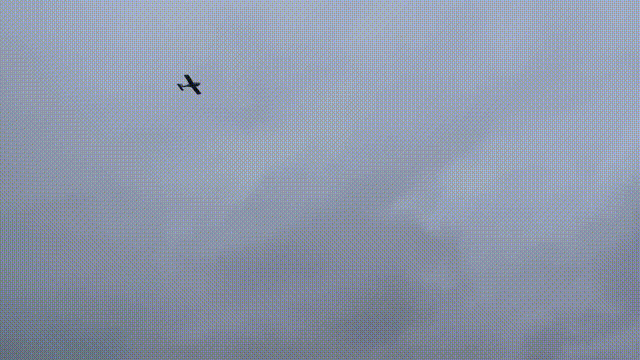 以上2图 肇庆市融媒体中心实习生 李梓骞 摄