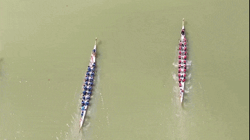 △肇庆市融媒体中心记者 张水生 摄