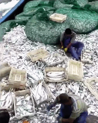 �������㡢���㣬������������㣡���������У�����һ���ߵ��������۲��ȣ���������10��~