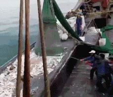 �������㡢���㣬������������㣡���������У�����һ���ߵ��������۲��ȣ���������10��~