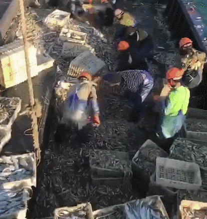 �������㡢���㣬������������㣡���������У�����һ���ߵ��������۲��ȣ���������10��~