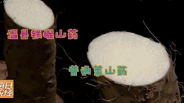 �������У���������������20��������ײ˶�������������һ��Ƣθ�á����ʰ���ȫ�Ҷ���~