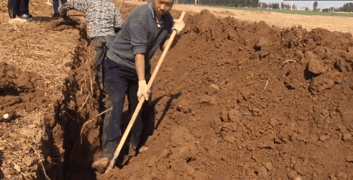 �������У���������������20��������ײ˶�������������һ��Ƣθ�á����ʰ���ȫ�Ҷ���~