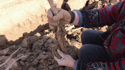 �������У���������������20��������ײ˶�������������һ��Ƣθ�á����ʰ���ȫ�Ҷ���~