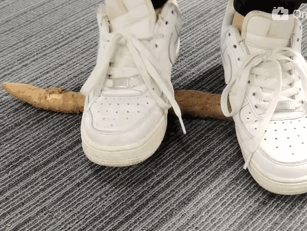 �������У���������������20��������ײ˶�������������һ��Ƣθ�á����ʰ���ȫ�Ҷ���~