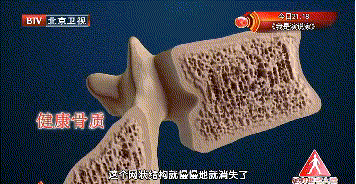 ����Ե�����ʤ��10����ͷ�����ƺ����գ���������������ţ��ǿ����~