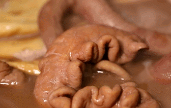 ���˱����ͳԲ����ġ�����ζ������ζ�����񣬶����������~