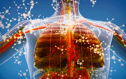 ѩ�桢���˶����������ӳ�Ƥ��ʤ��6����Ȼʳ�ġ���ÿ��1�飬������ˬ~