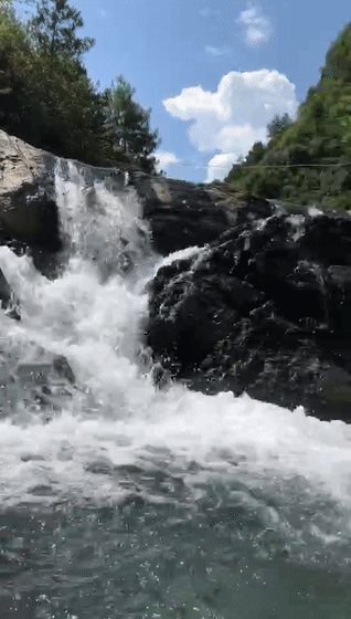 318_560竖版 竖屏gif 动态图 动图