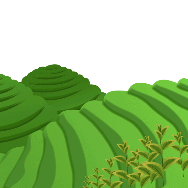 该喝黑茶了！官方首套表情包正式发布！