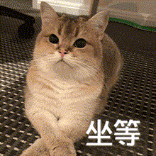 0078A5CD.gif
