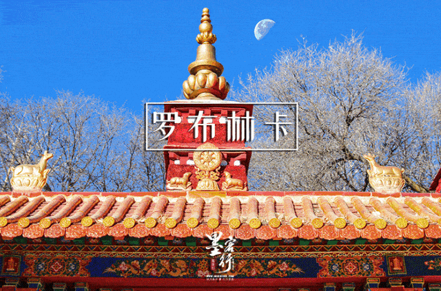 布達拉宮恢復對外開放！是時候去西藏了！ 旅遊 第7張