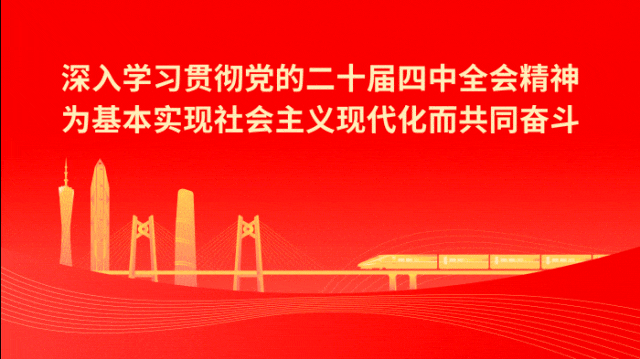 12.17 四中全会+视察广东.gif