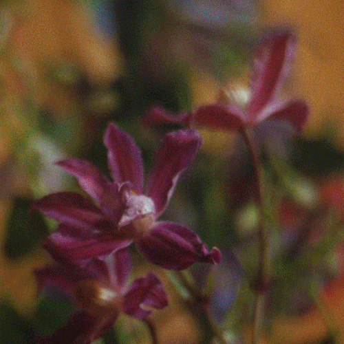 图案专题 | 跟 GUCCI 艺术家系列一起看花花世界-微信头条网 图案专题 | 跟 GUCCI 艺术家系列一起看花花世界