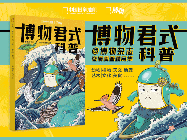 拿到这本《博物君式科普》,我还有点担忧孩子不喜欢看,因为家里的自然