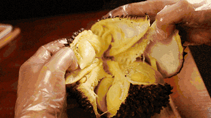 怎么买到好榴莲，怎么能精准挑到“报恩榴莲”？