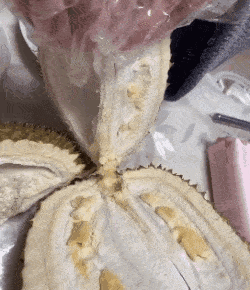 怎么买到好榴莲，怎么能精准挑到“报恩榴莲”？