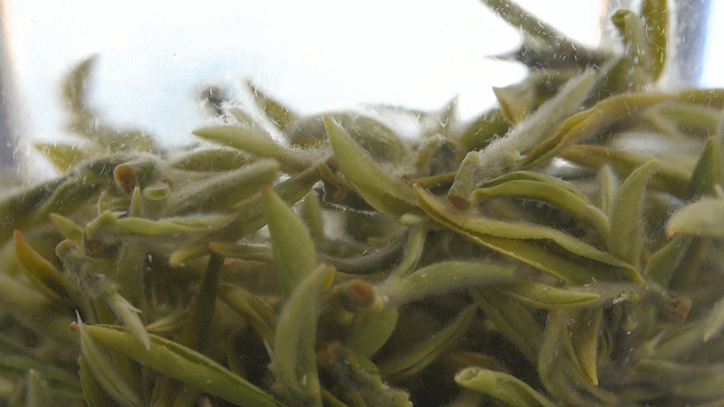 800_450gif 动态图 动图