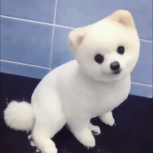 格式刷刷的是什么_格式刷的作用是_格式刷的作用是什么