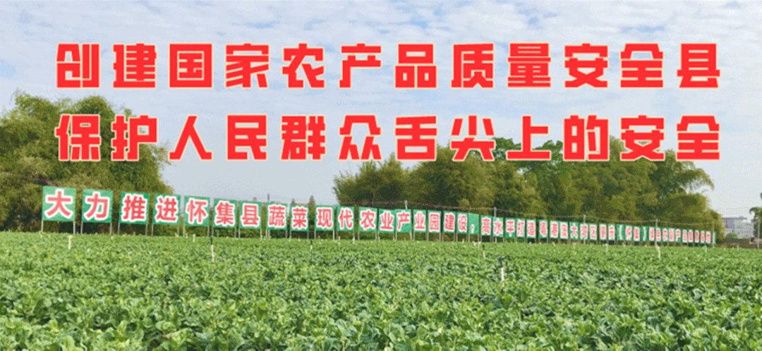 市人大调研组到我县调研环境资源保护工作