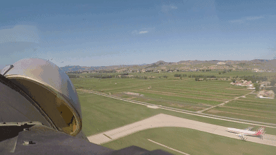 【6/15更新】鸟经常撞飞机发动机, 发动机进气口加个网可以吗?的图1