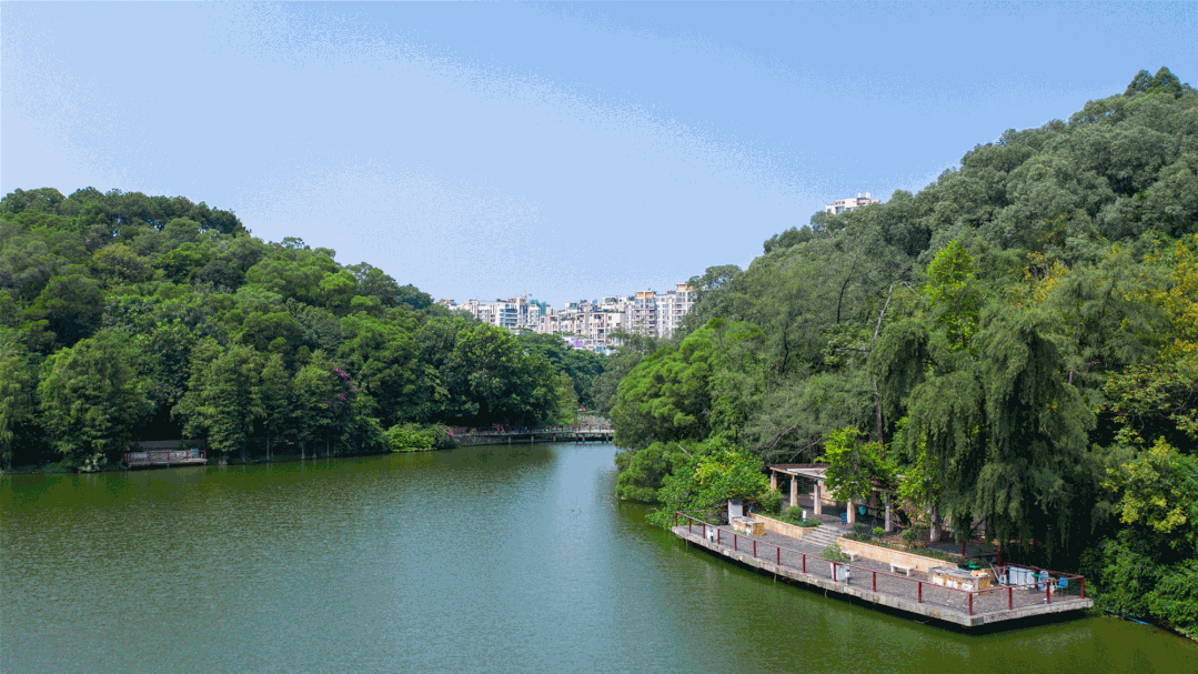 越秀30个好盘亮底牌，哪个更值得你买？