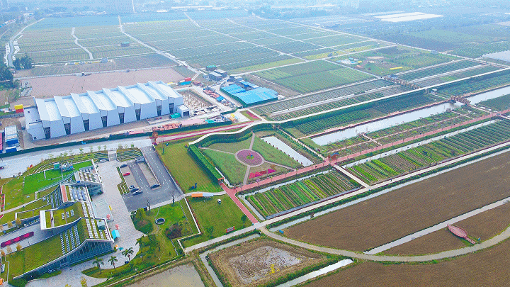 是谁抢走了广州的置业客？解码南沙“人气王”！