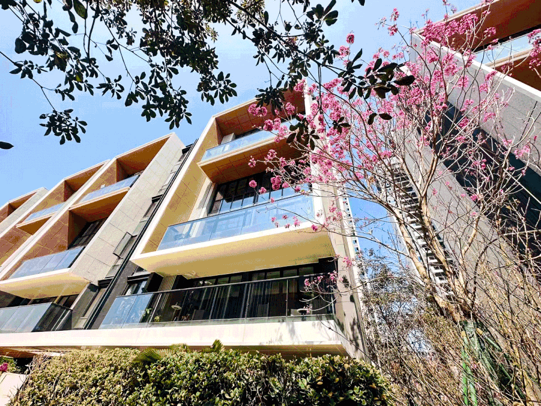 总价210万，入手知识城·悦辰壹号！