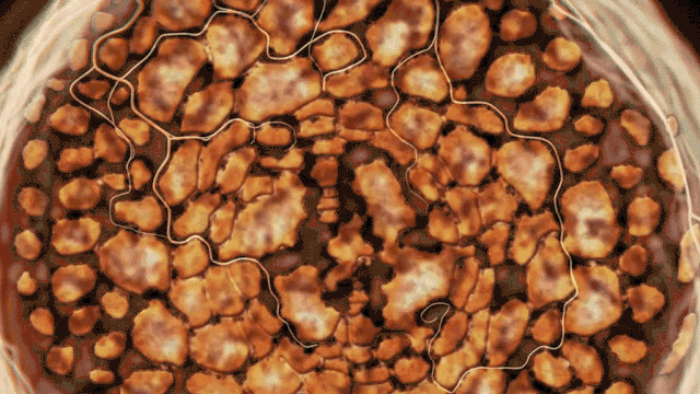 流感高发季节，真菌感染导致的皮肤病滋味不好受，大家要注意防护