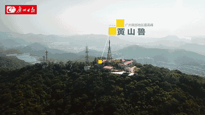 拼提前交付+增配，南沙的“教科书”来了！