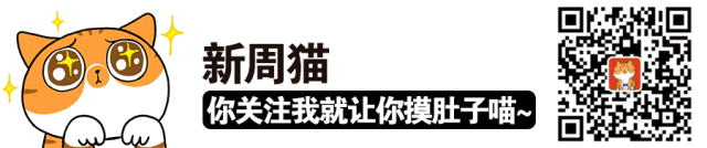 鏟屎官離家久了，貓會想你想到生病 寵物 第1張
