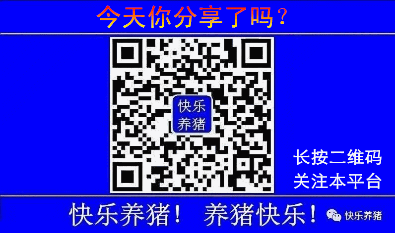 母猪为什么会出现假怀孕?