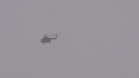 新疆喀纳斯景区暂停开放的公告，对滞留游客紧急救援