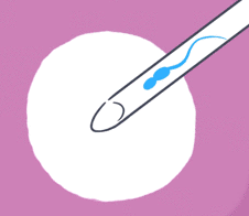 一张图告诉你 性激素六项检查的都是什么？