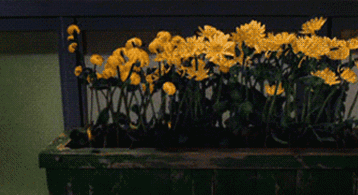 年纪轻轻卵巢就“奔五”，跟这个习惯有关！