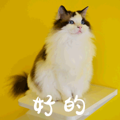 想要胚胎健康发育，精子质量不能忽视！