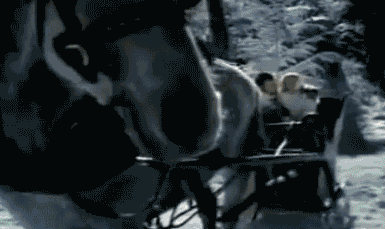 卵泡发育不良？这个助孕“神器”请收好！