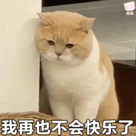 原来冻卵是不是"后悔药"取决于这个因素！